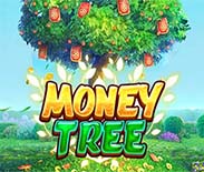 MONEY TREE 5G